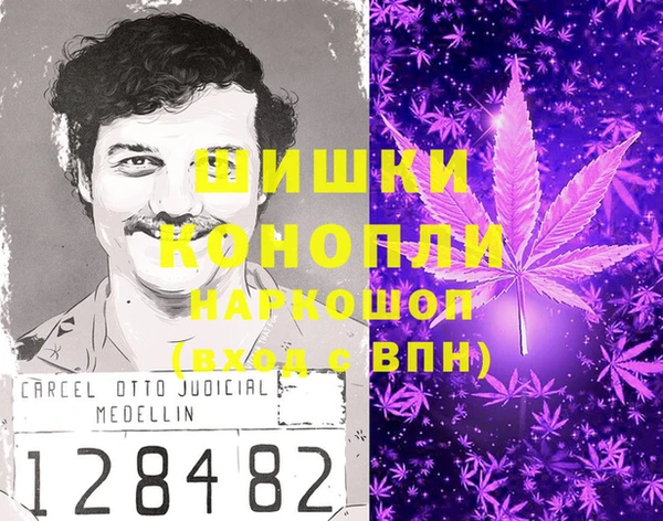 гидропоника Володарск