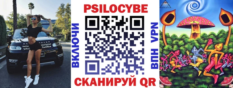 купить наркоту  Новая Усмань  mega ТОР  Псилоцибиновые грибы Psilocybe 